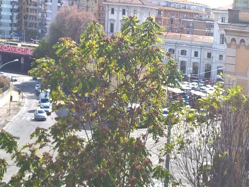 Elegance Scalini Di Trastevere Rome
